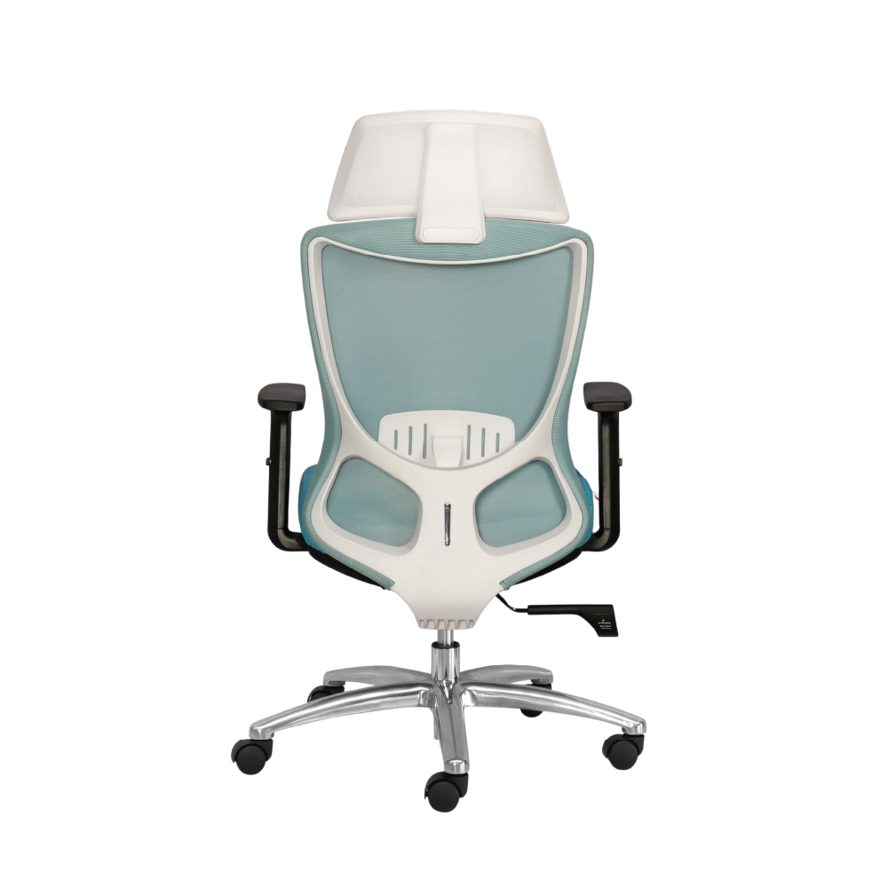 Ghế công thái học M1106 F - 02 - Ảnh 7