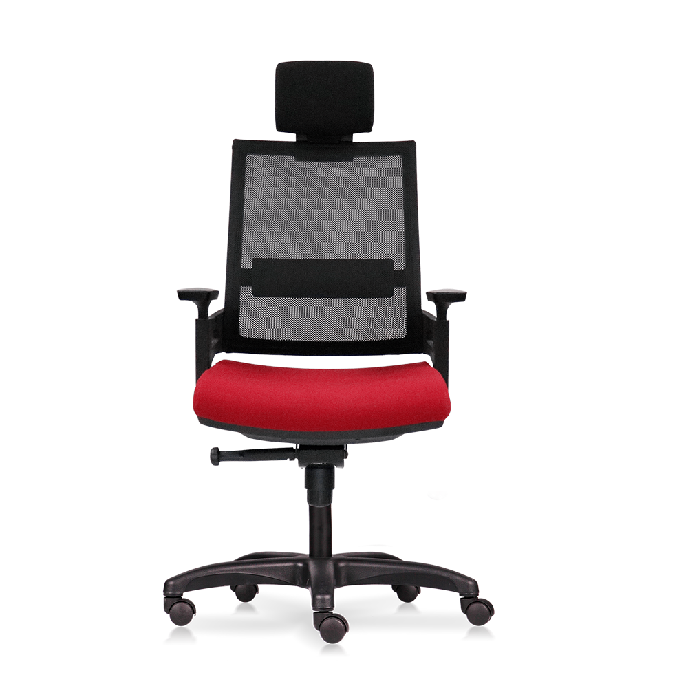Ghế công thái học M1085 - 02 - Ảnh 5