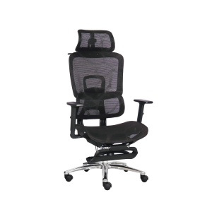 Ghế công thái học SITWELL