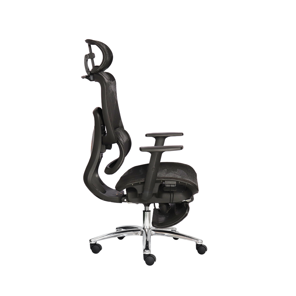Ghế công thái học SITWELL - Ảnh 7