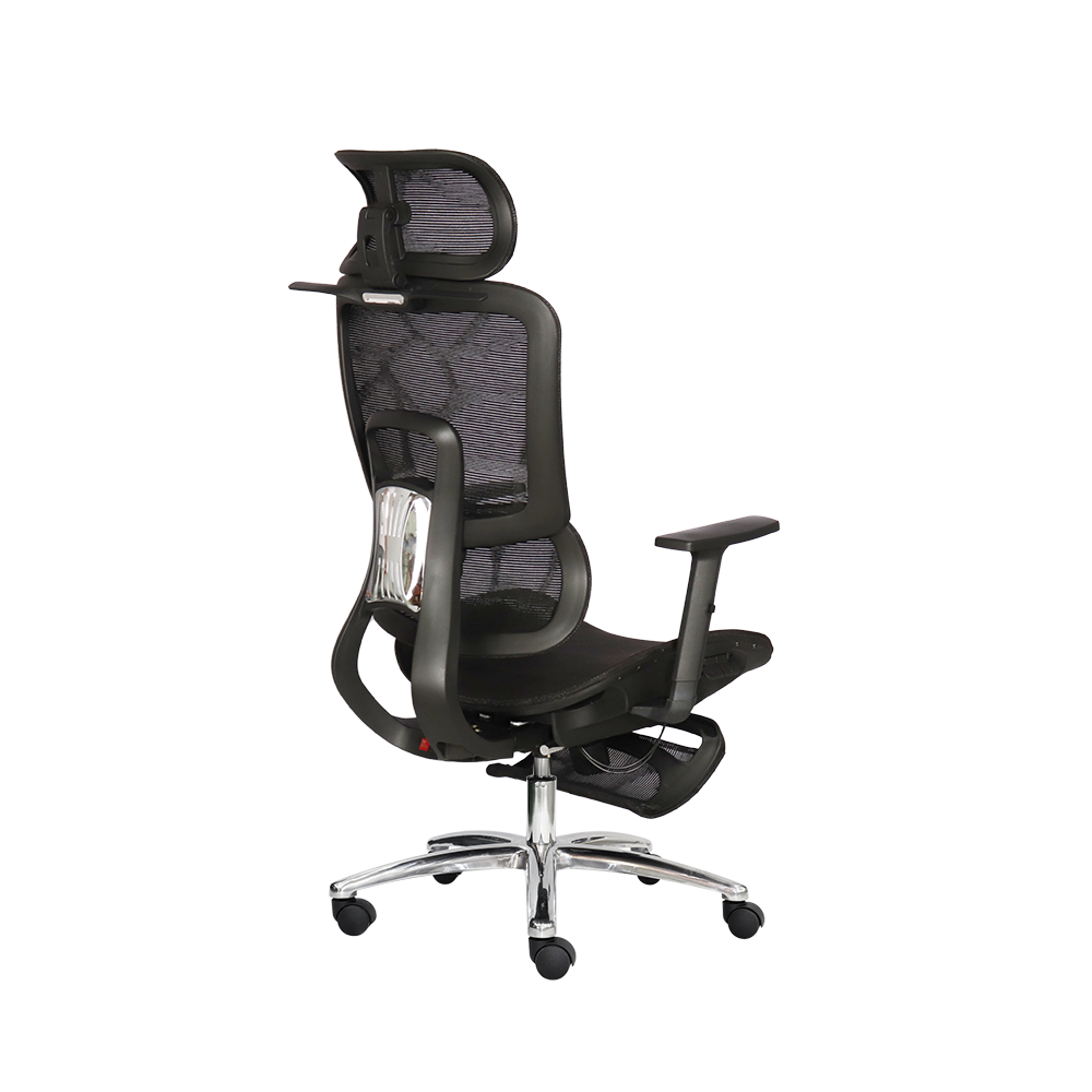 Ghế công thái học SITWELL - Ảnh 8