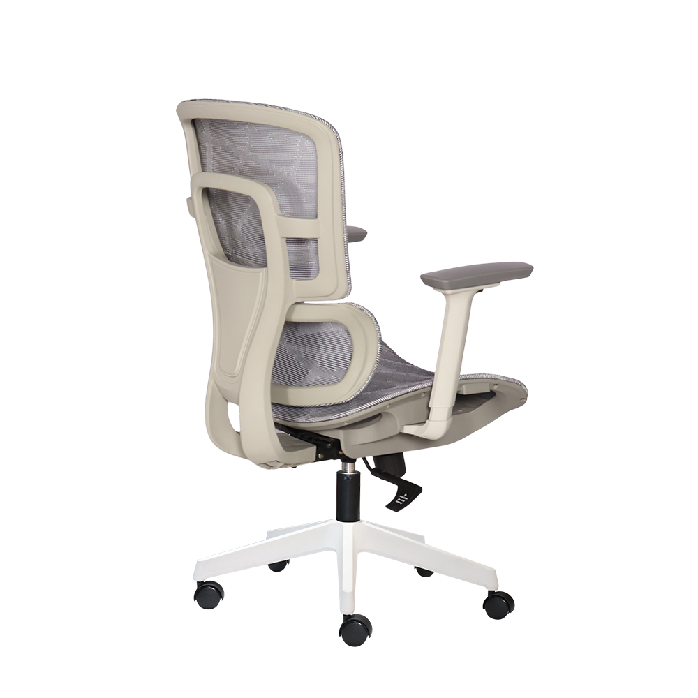 Ghế công thái học BACKPRO 02 - Ảnh 8