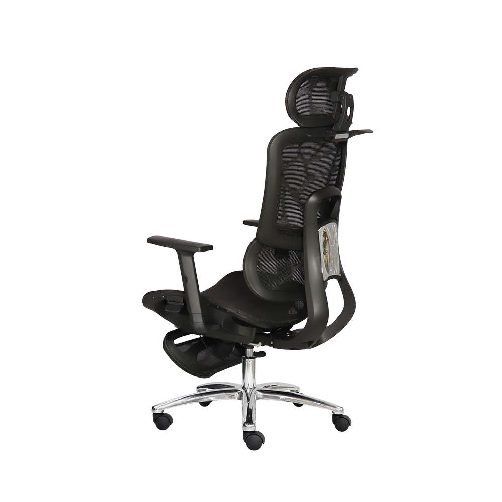 Ghế công thái học SITWELL - Ảnh 10