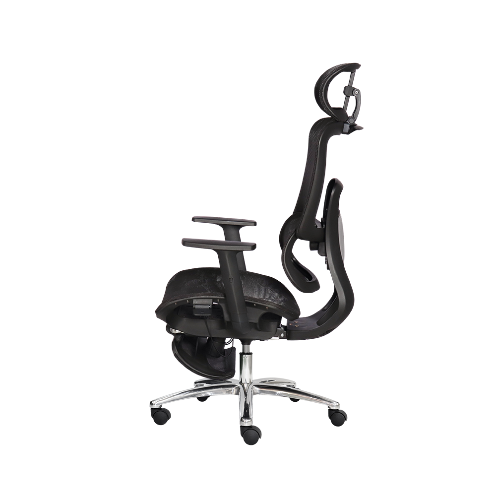 Ghế công thái học SITWELL - Ảnh 11