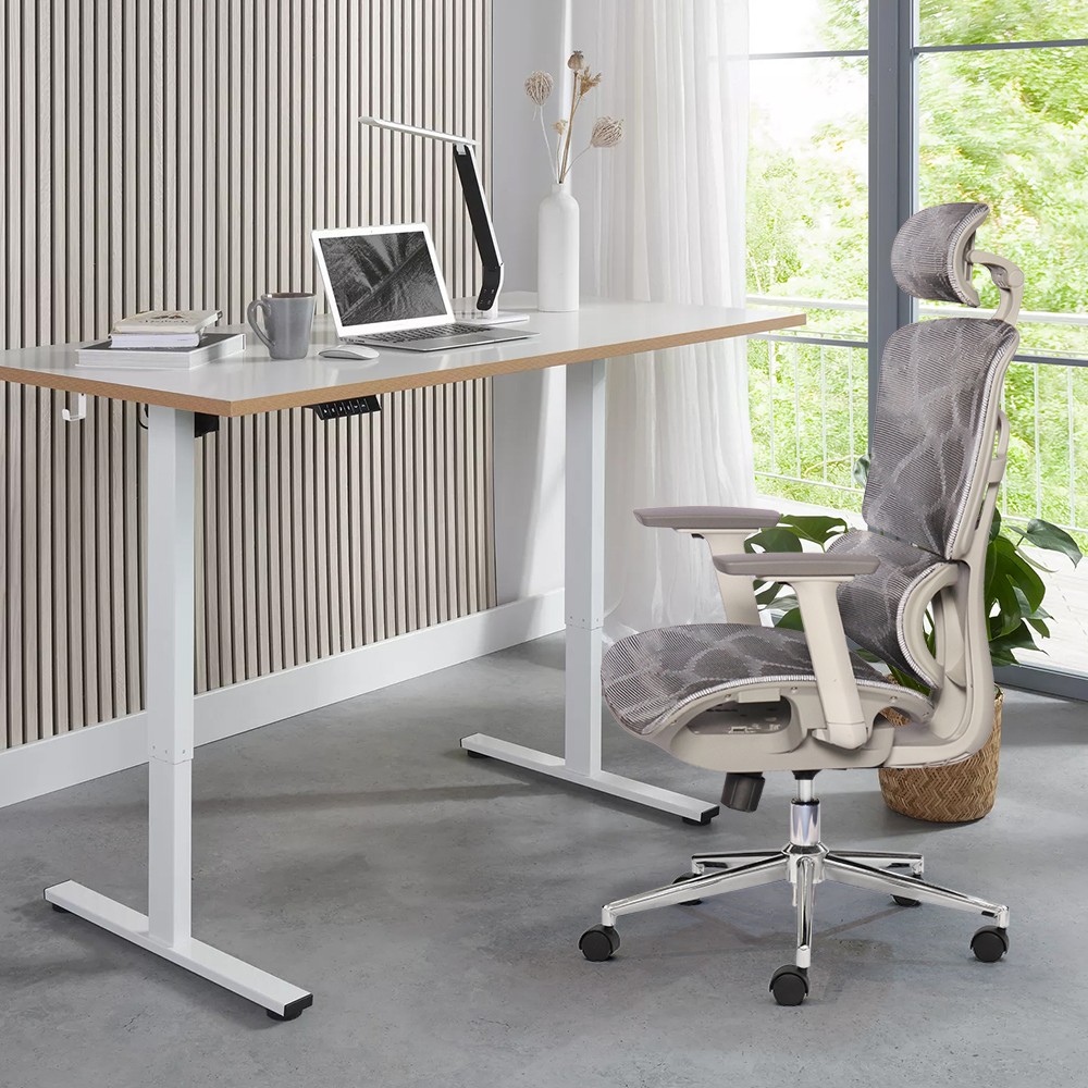 Ghế công thái học BACKPRO 01 - Ảnh 3