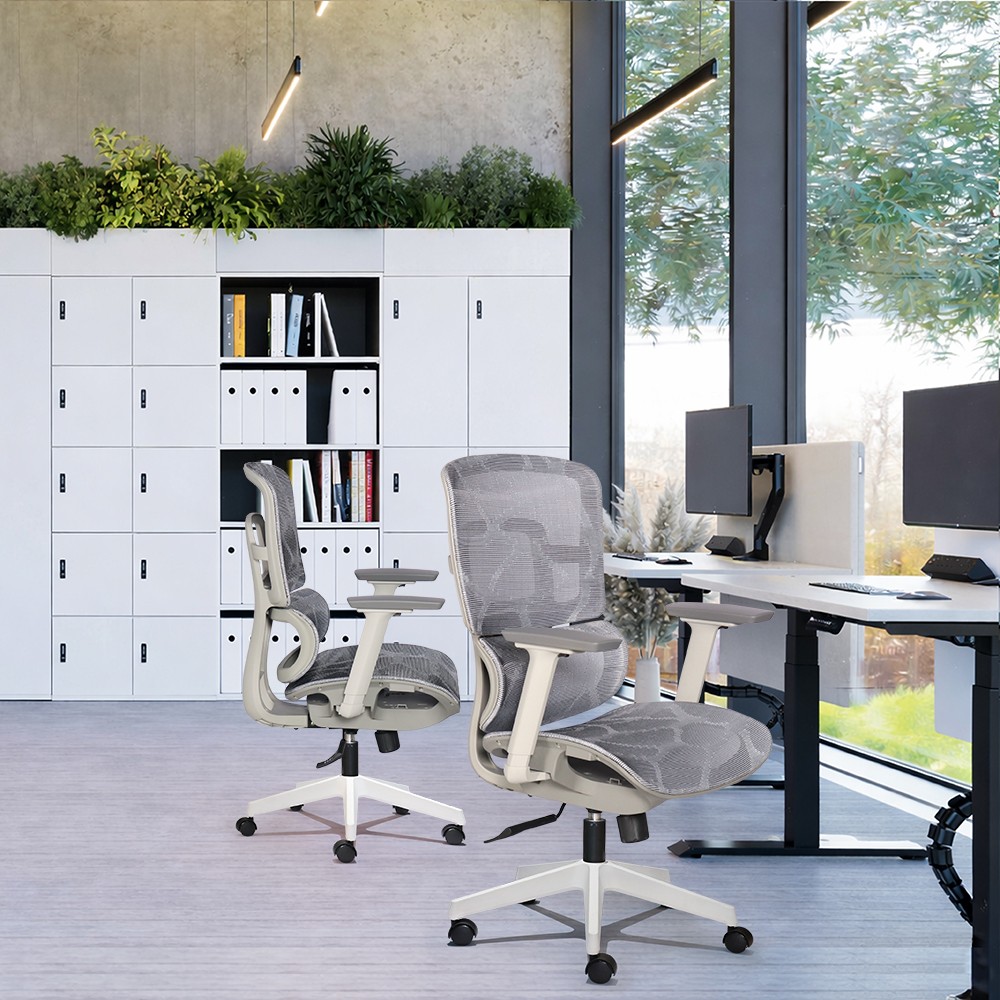Ghế công thái học BACKPRO 02 - Ảnh 2