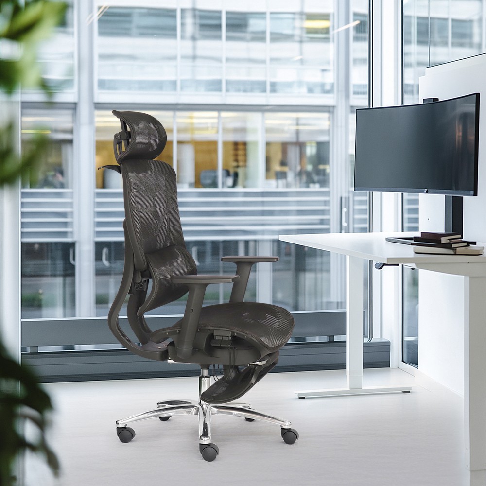 Ghế công thái học SITWELL - Ảnh 2